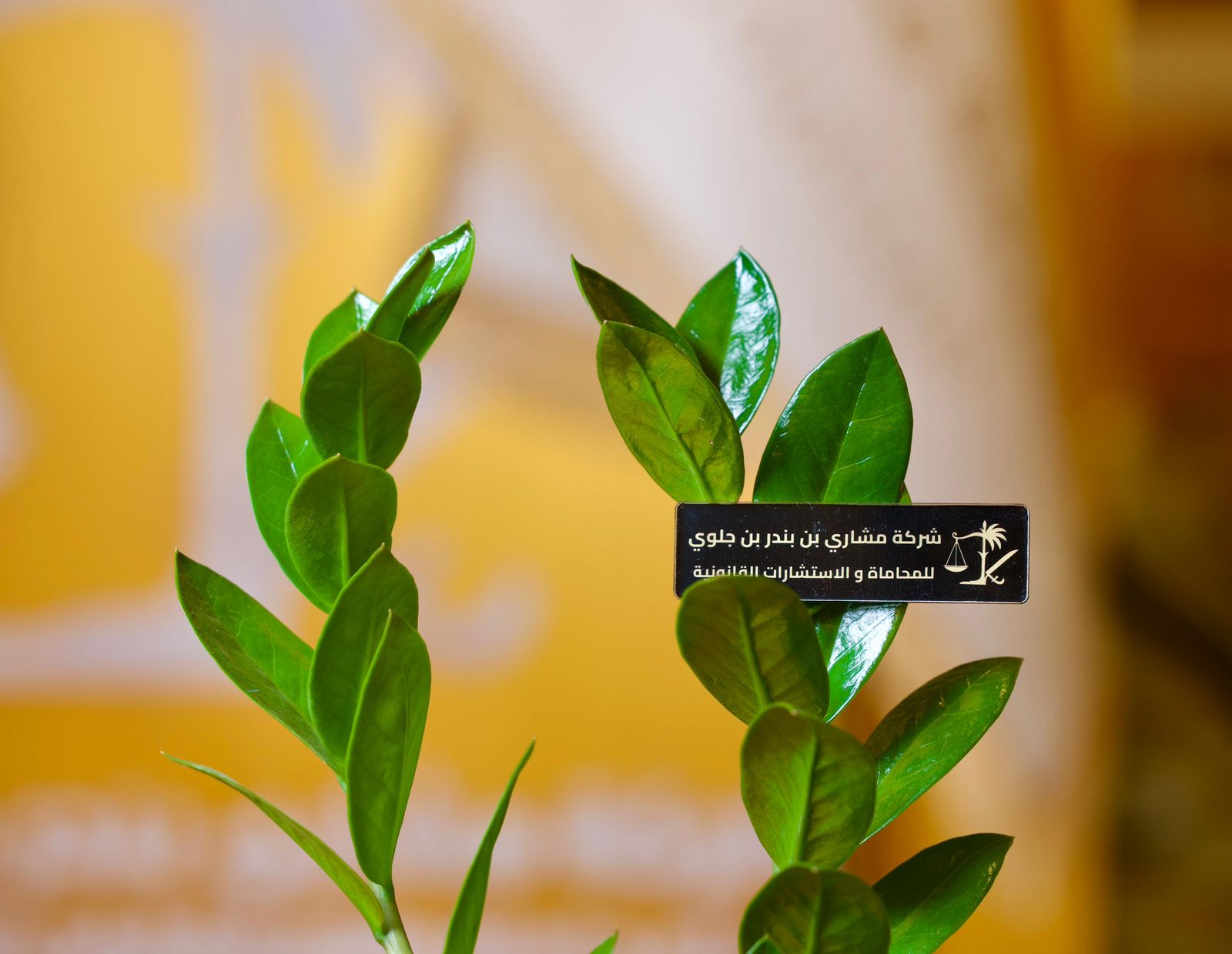 هوية الشركة في الفعالية